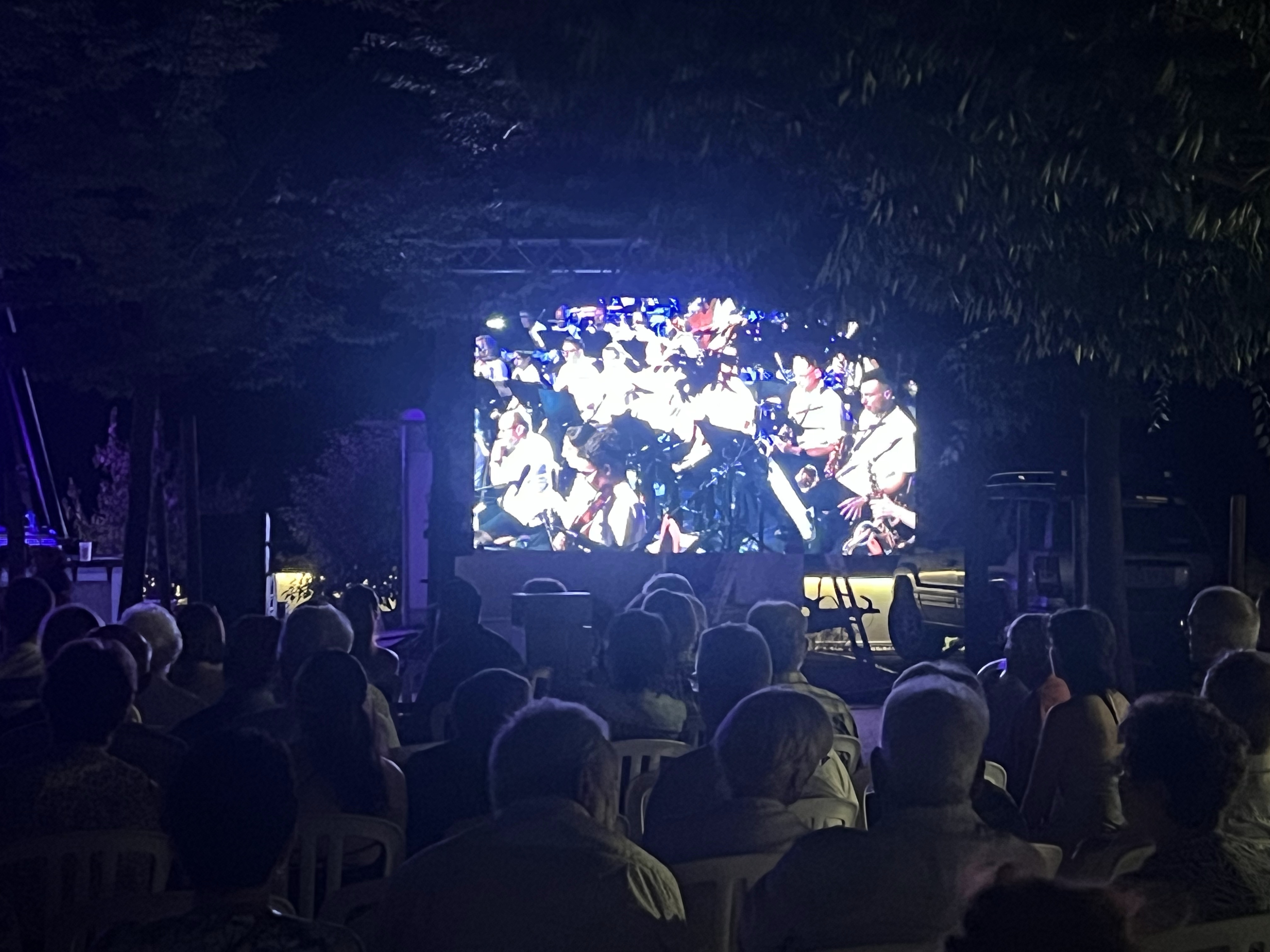 Écran LED concert